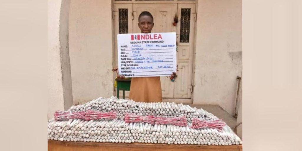 11 arrested as NDLEA seizes N3.4bn worth of drugs in Lagos, Port ...