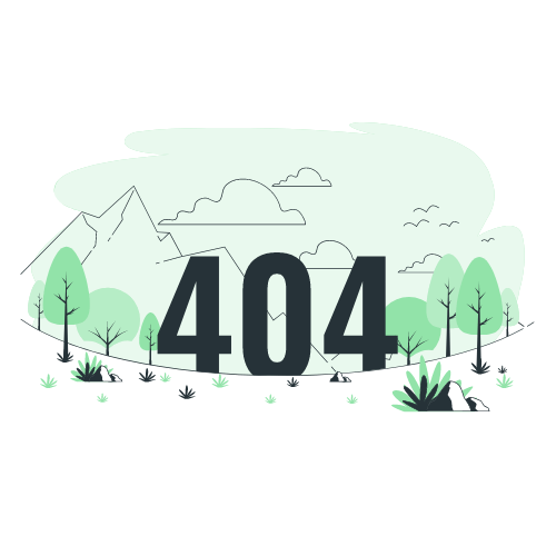 404_image